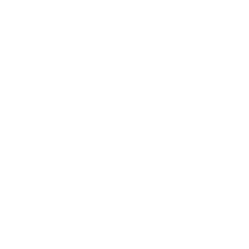 Shield Icon